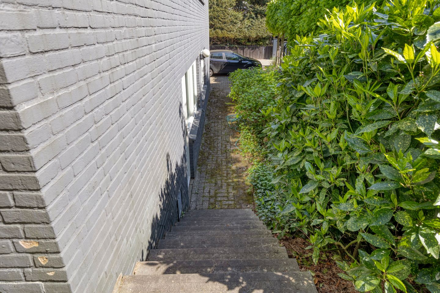 Foto 44 van Vossepad 2