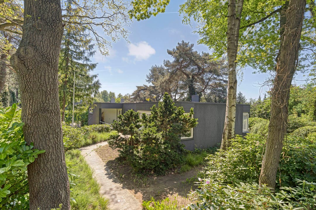 Foto 46 van Vossepad 2