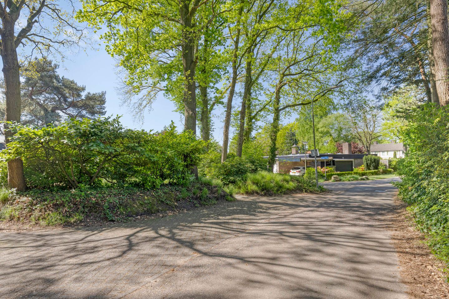 Foto 50 van Vossepad 2