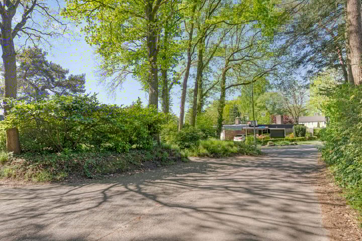 Foto 50 van Vossepad 2