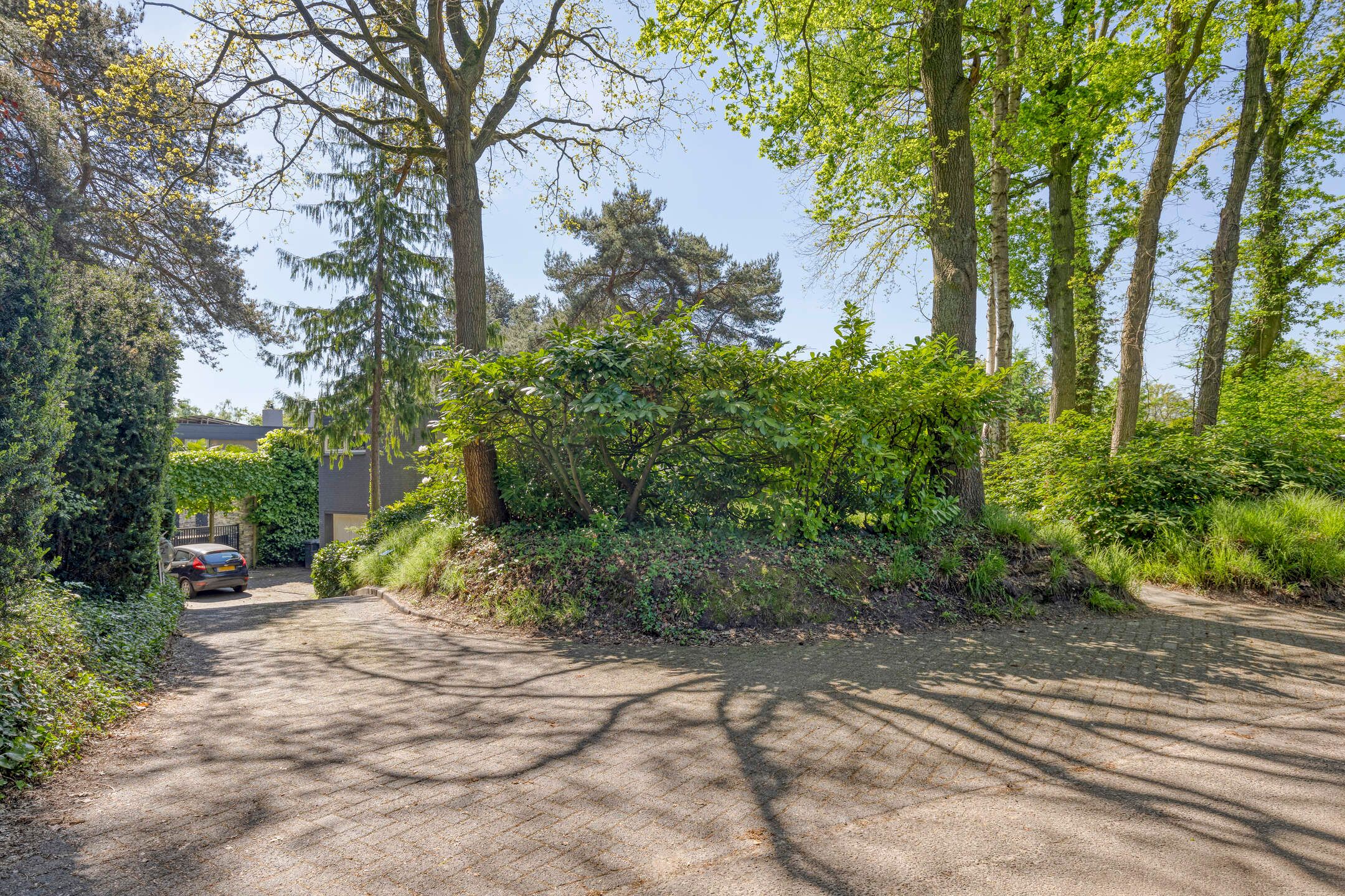 Foto 51 van Vossepad 2