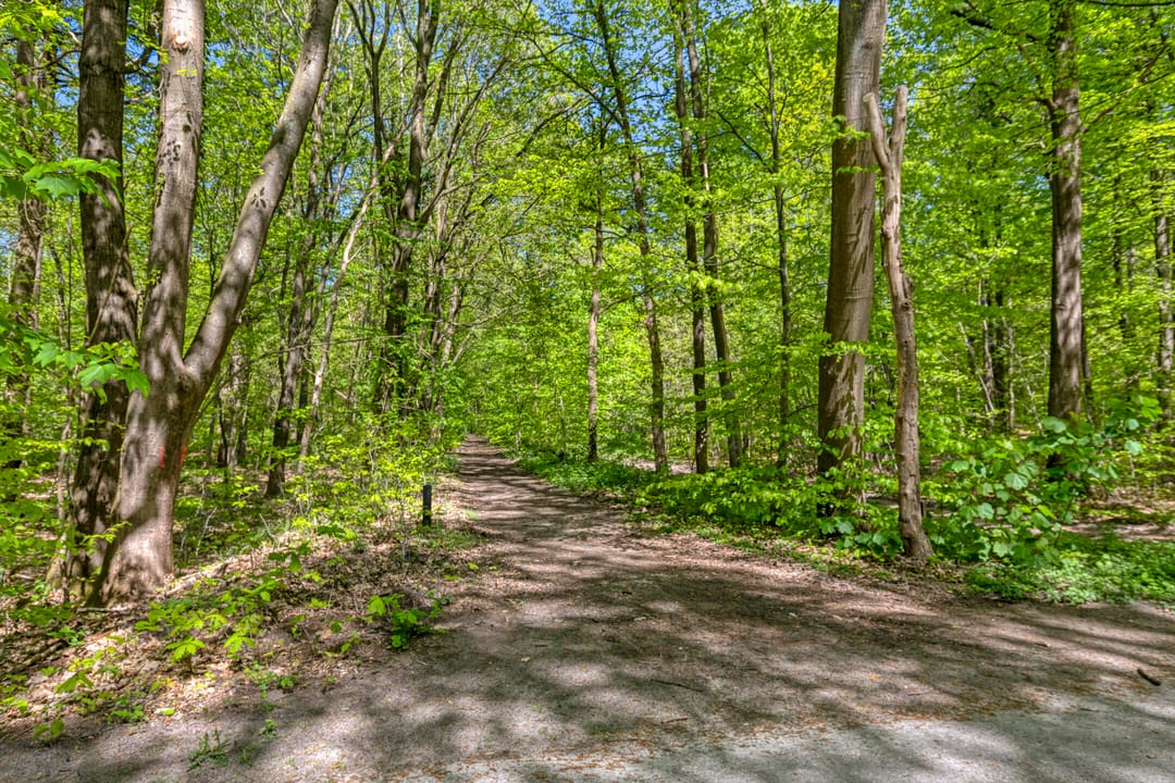 Foto 52 van Vossepad 2