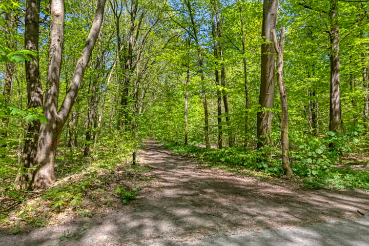 Foto 52 van Vossepad 2