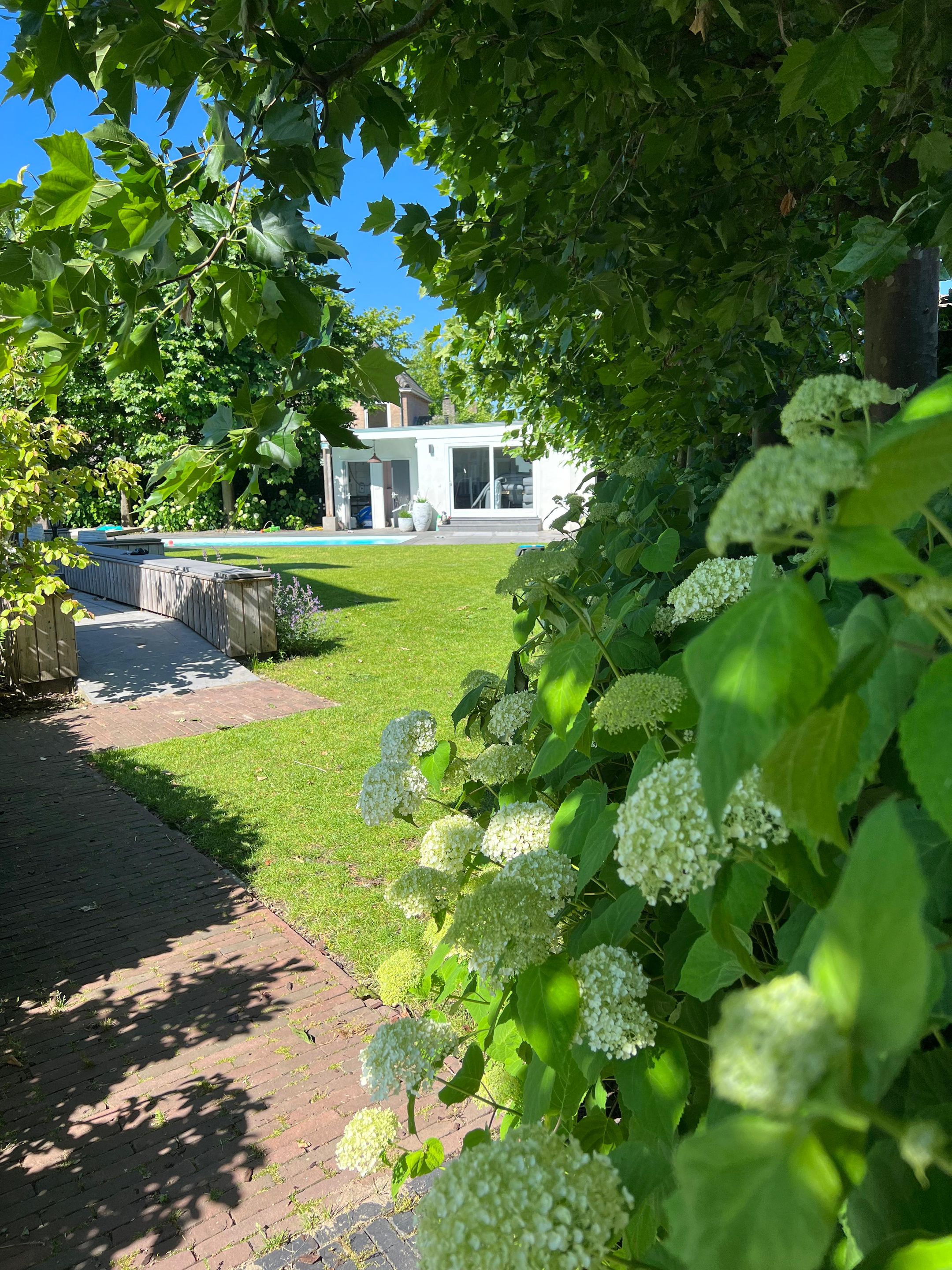 Foto 51 van Schoolakker 5