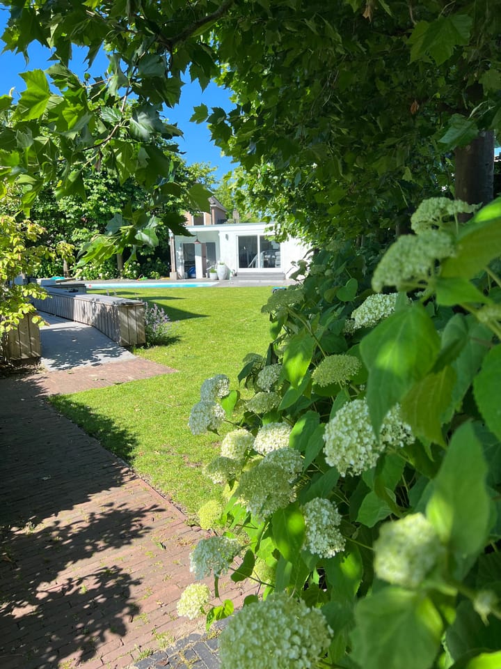 Foto 51 van Schoolakker 5