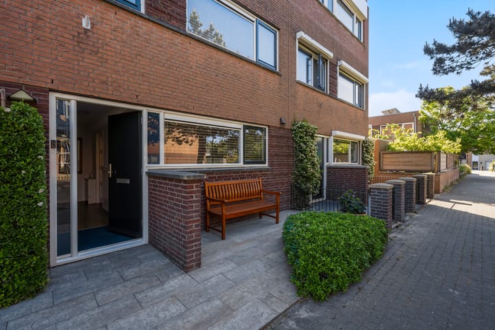 Foto 6 van Schorsmos 10