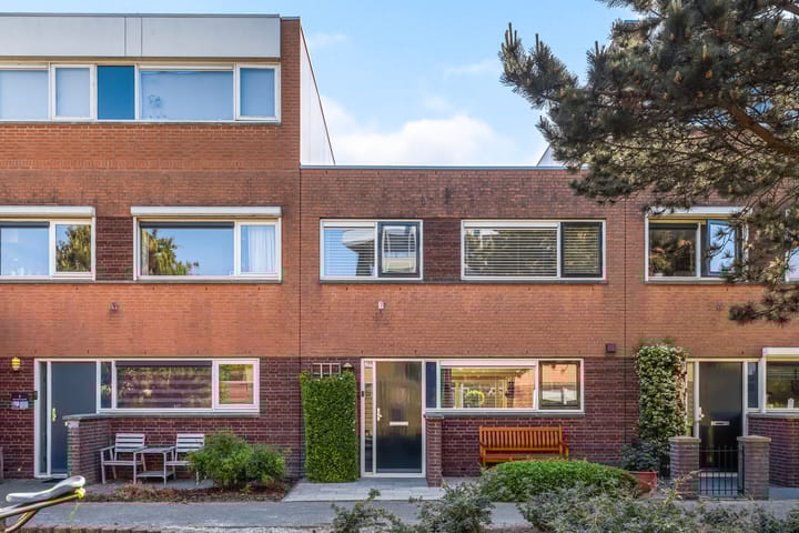 Foto 1 van Schorsmos 10