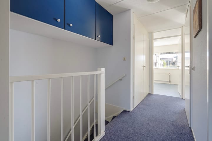 Foto 17 van Schorsmos 10