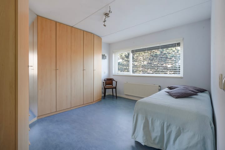 Foto 23 van Schorsmos 10