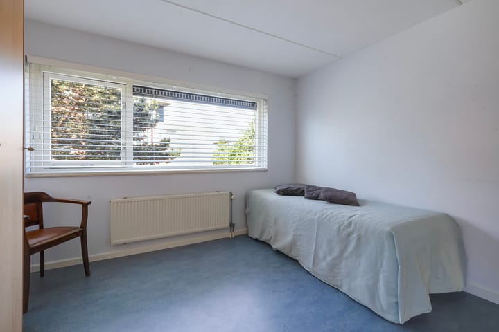 Foto 24 van Schorsmos 10