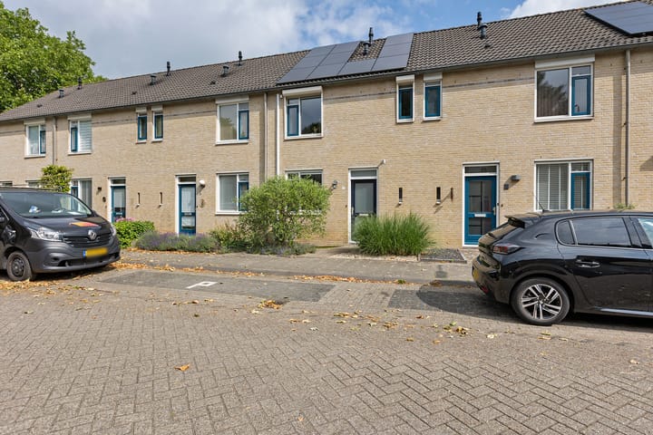 undefined main image