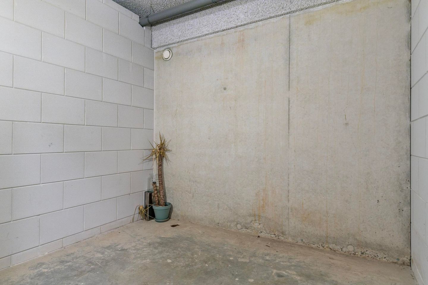 Photo 34 of Abdijtuinen 308