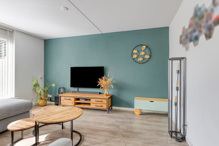 Foto 3 van Kokmeeuw 10