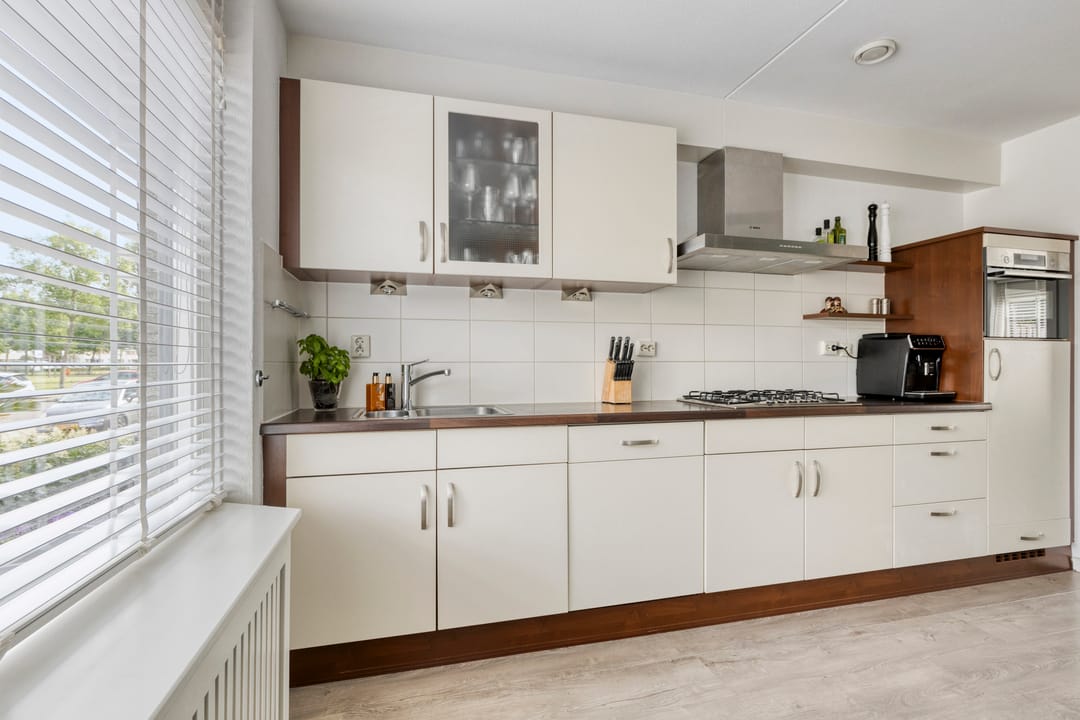 Foto 7 van Kokmeeuw 10