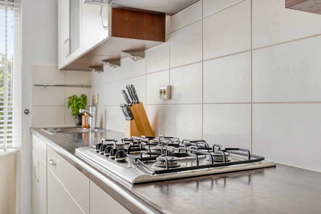 Foto 8 van Kokmeeuw 10