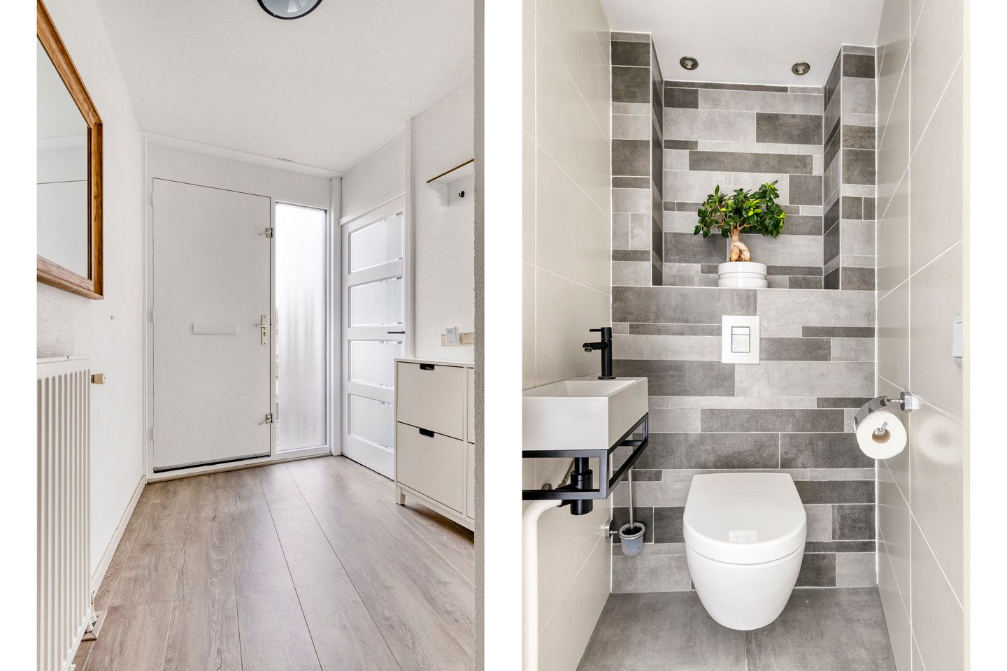 Foto 10 van Kokmeeuw 10