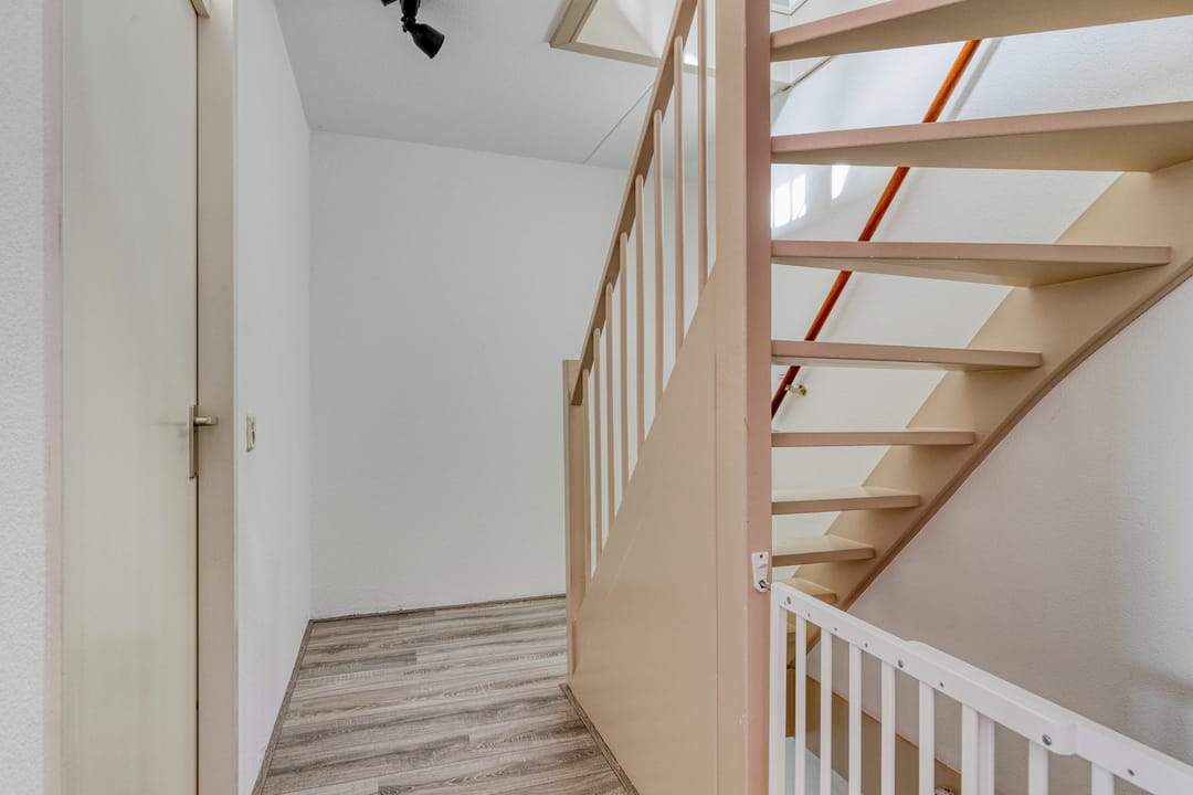 Foto 11 van Kokmeeuw 10