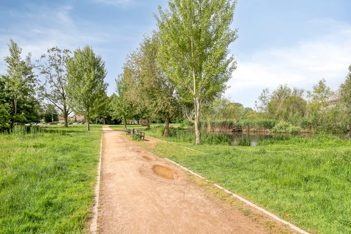 Foto 30 van Graaf Adolfstraat 28