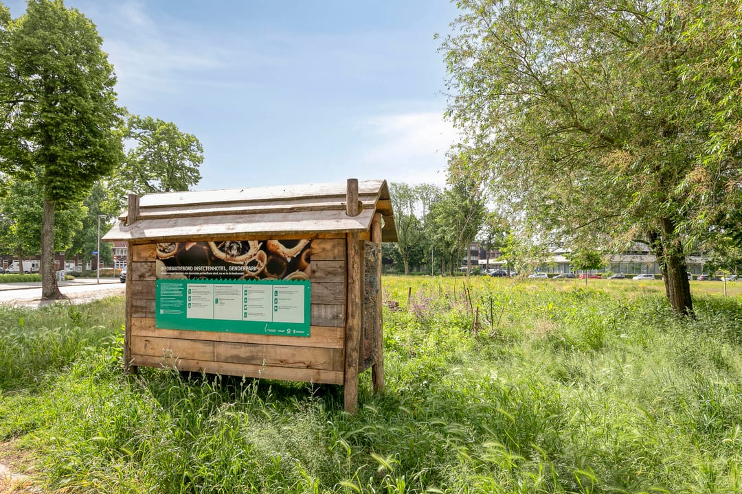 Photo 31 of Graaf Adolfstraat 28