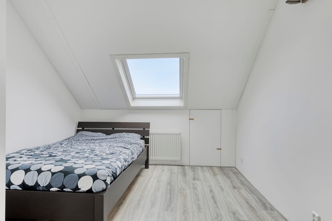 Foto 22 van Kokmeeuw 10