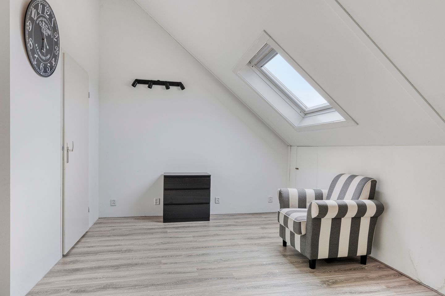 Foto 25 van Kokmeeuw 10