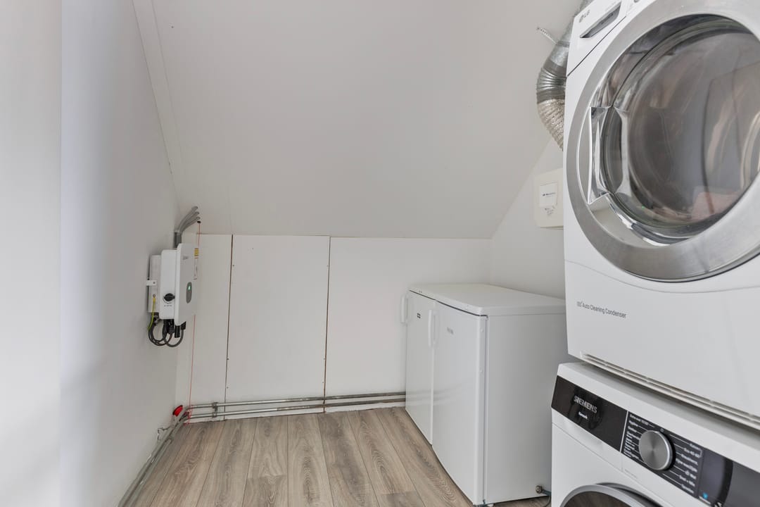 Foto 26 van Kokmeeuw 10