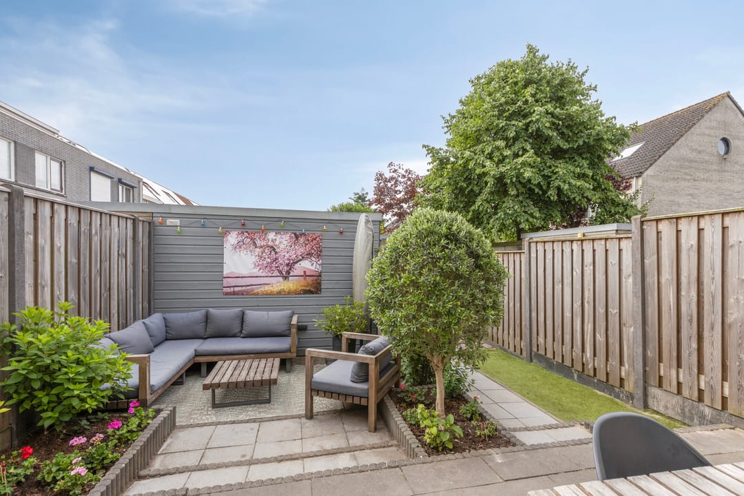 Foto 28 van Kokmeeuw 10