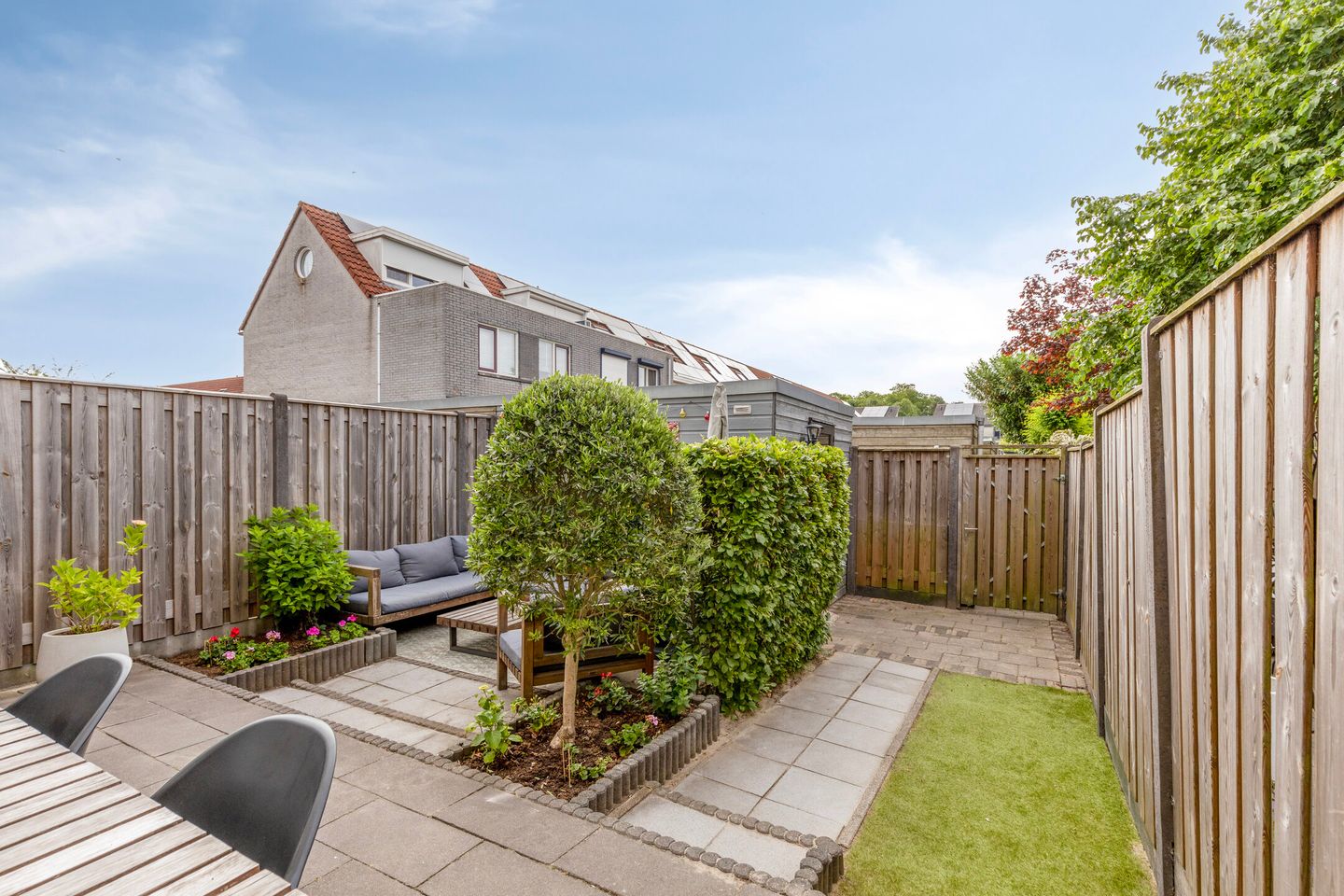 Foto 29 van Kokmeeuw 10