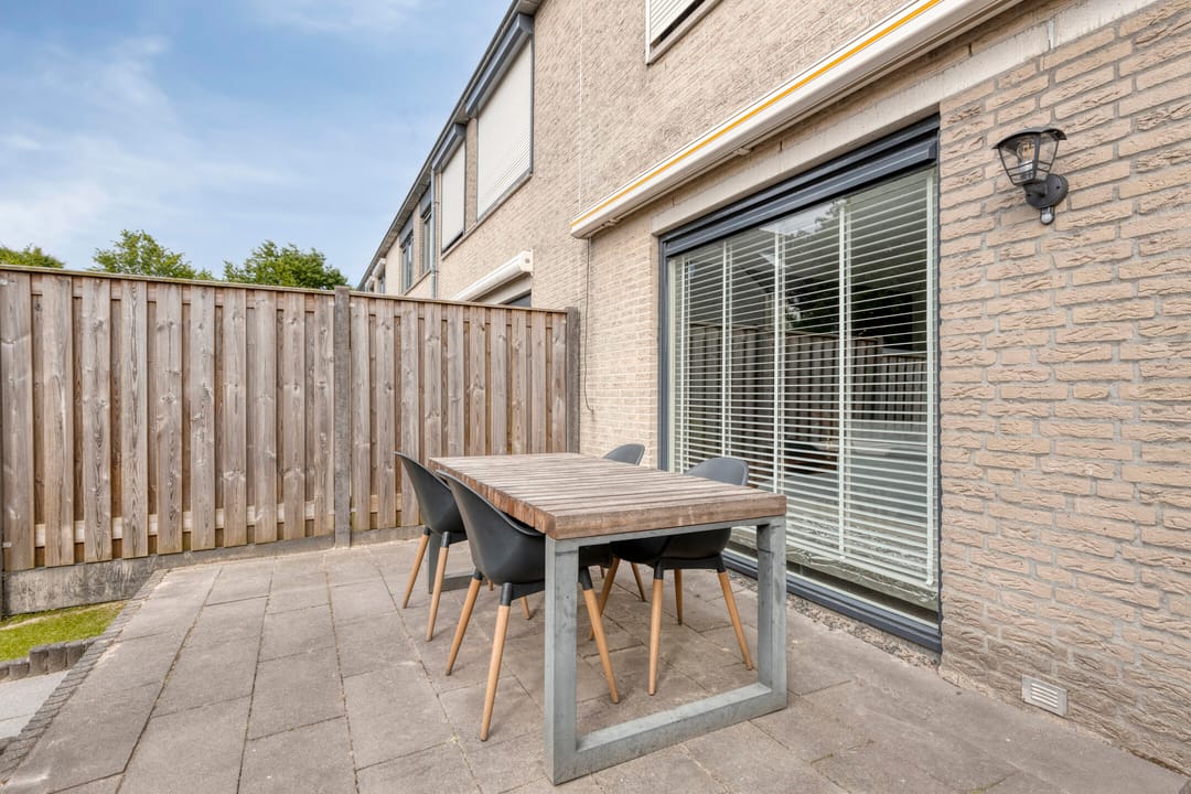 Foto 31 van Kokmeeuw 10