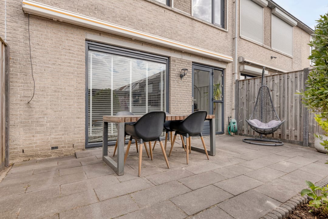 Foto 32 van Kokmeeuw 10