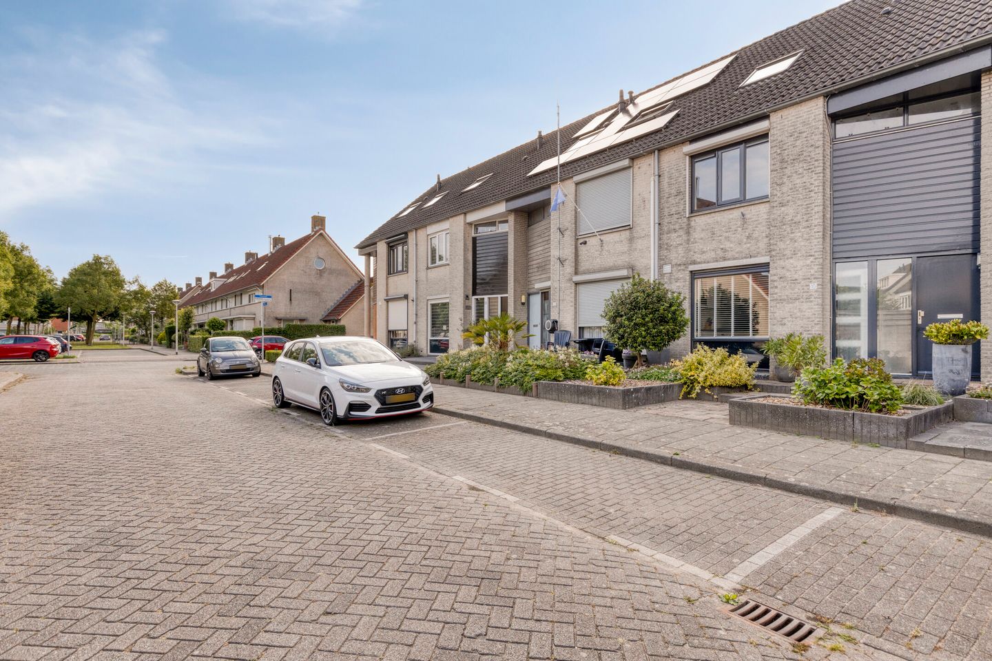 Foto 35 van Kokmeeuw 10