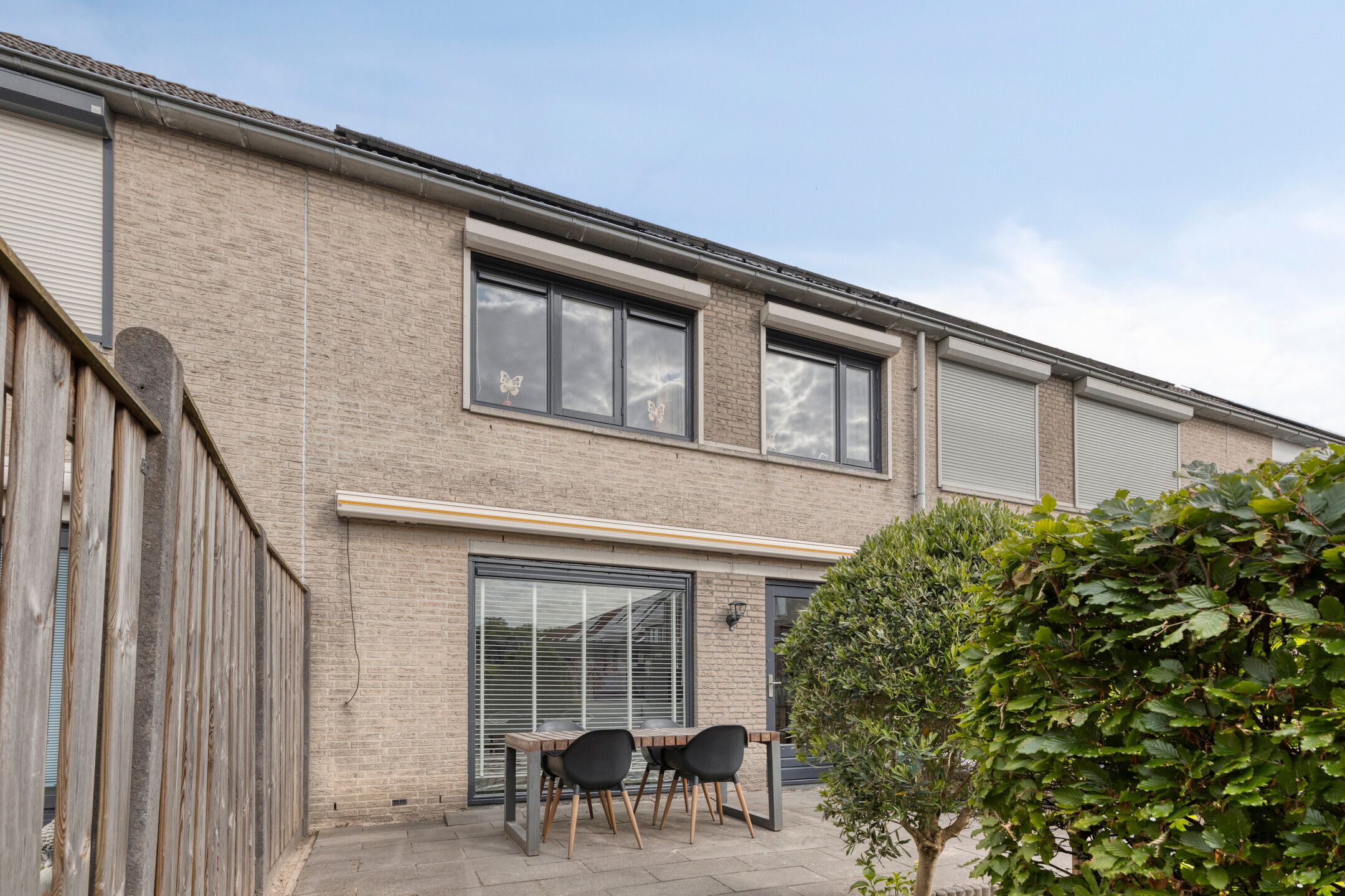 Foto 27 van Kokmeeuw 10