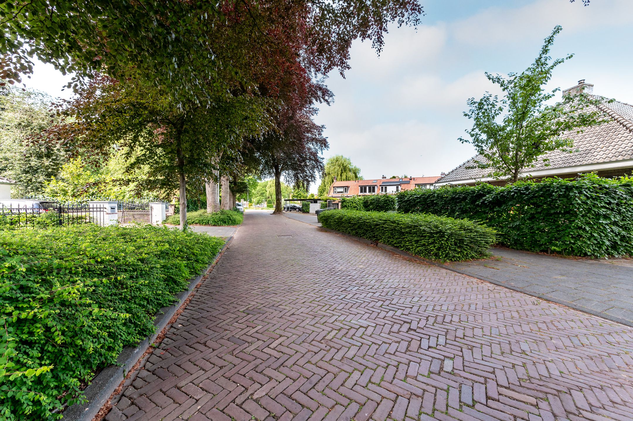 Foto 36 van Frisialaan 3