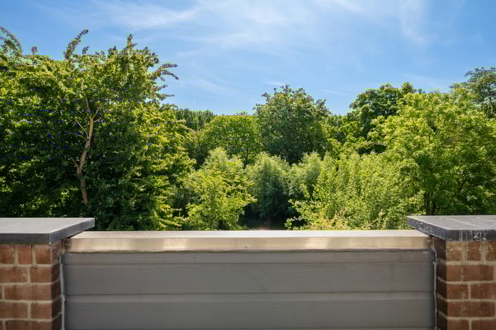 Foto 27 van Bosbes 12