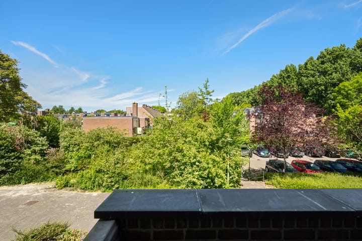 Foto 28 van Bosbes 12