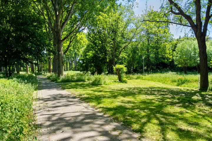 Foto 33 van Bosbes 12