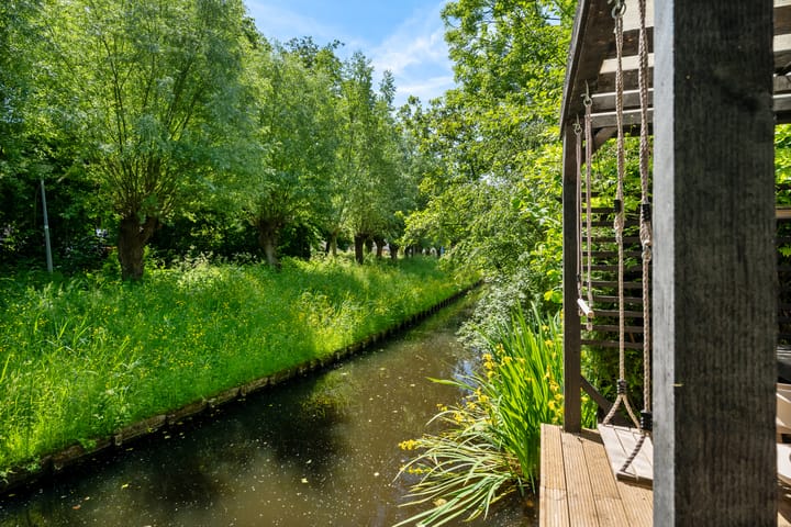 Foto 37 van Bosbes 12