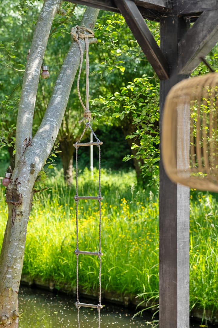 Foto 41 van Bosbes 12