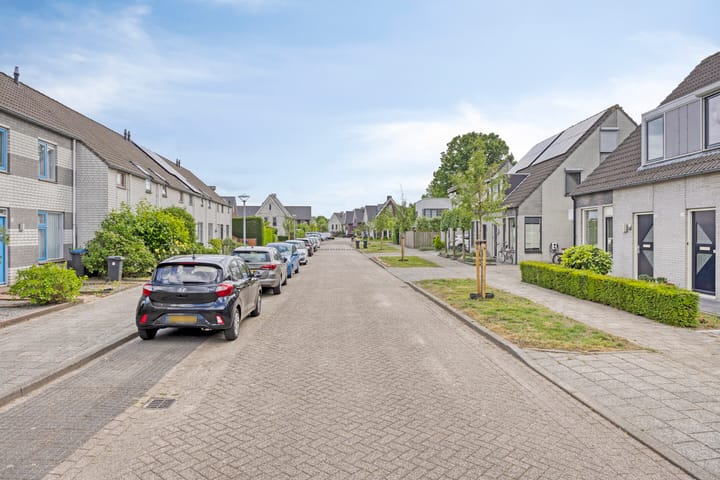 Foto 38 van De Wieken 59