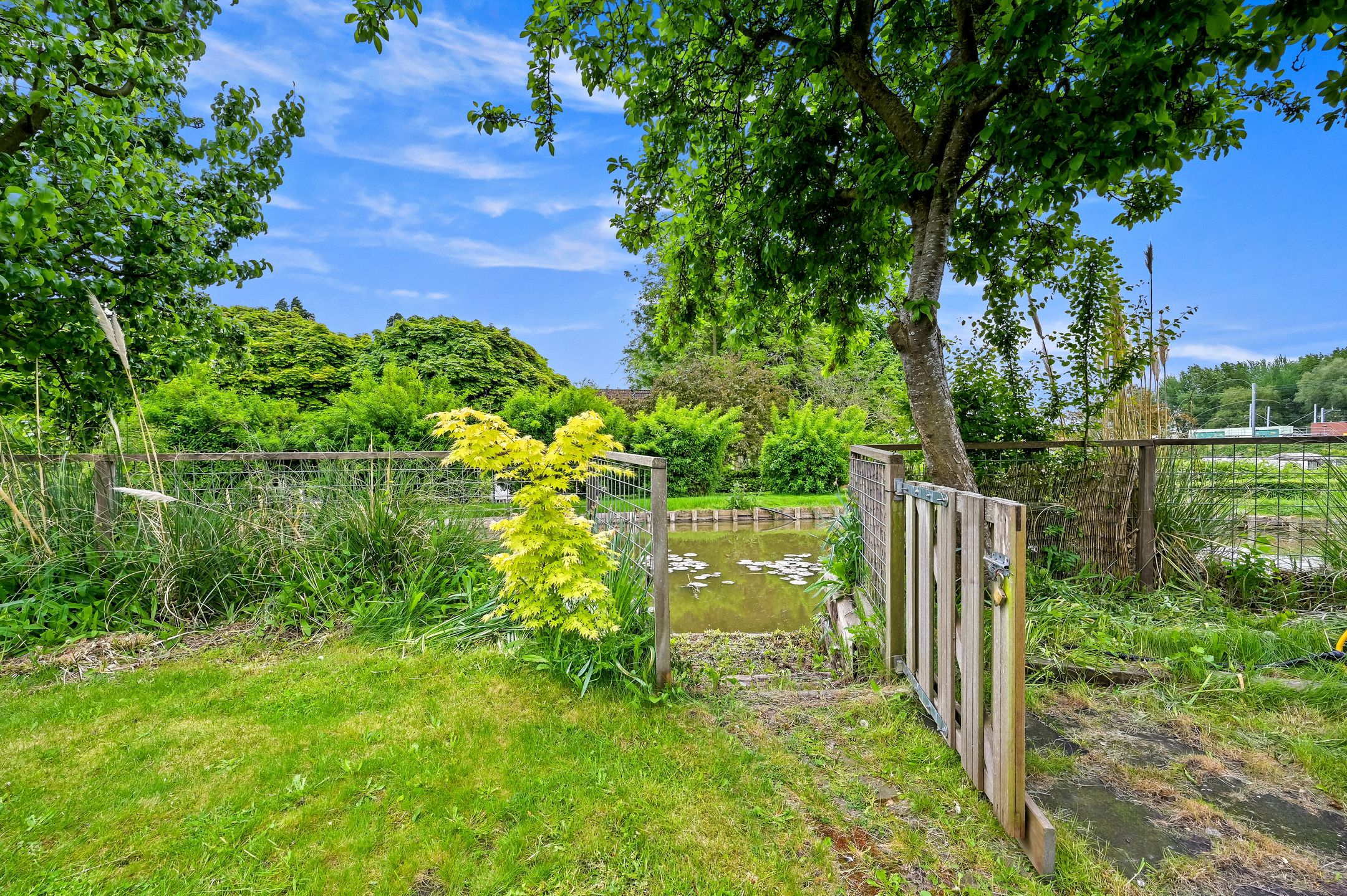 Foto 15 van Evertsenstraat 21