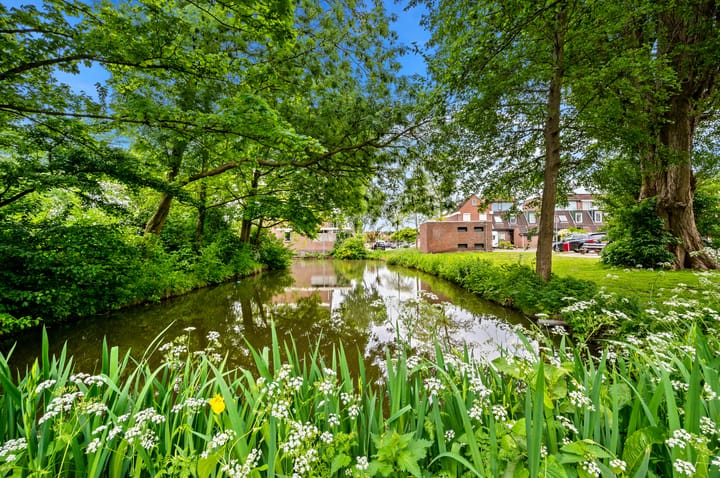 Foto 41 van Evertsenstraat 21