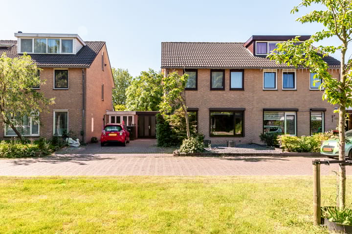 Foto 8 van Botter 38 70