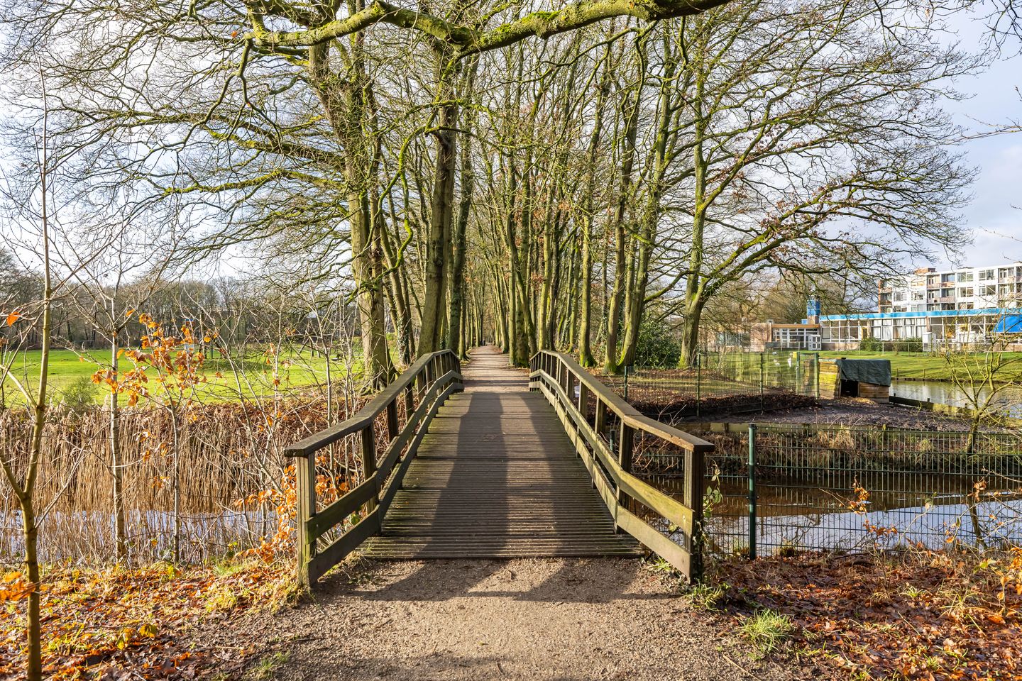 Foto 40 van Maria in Campislaan 205