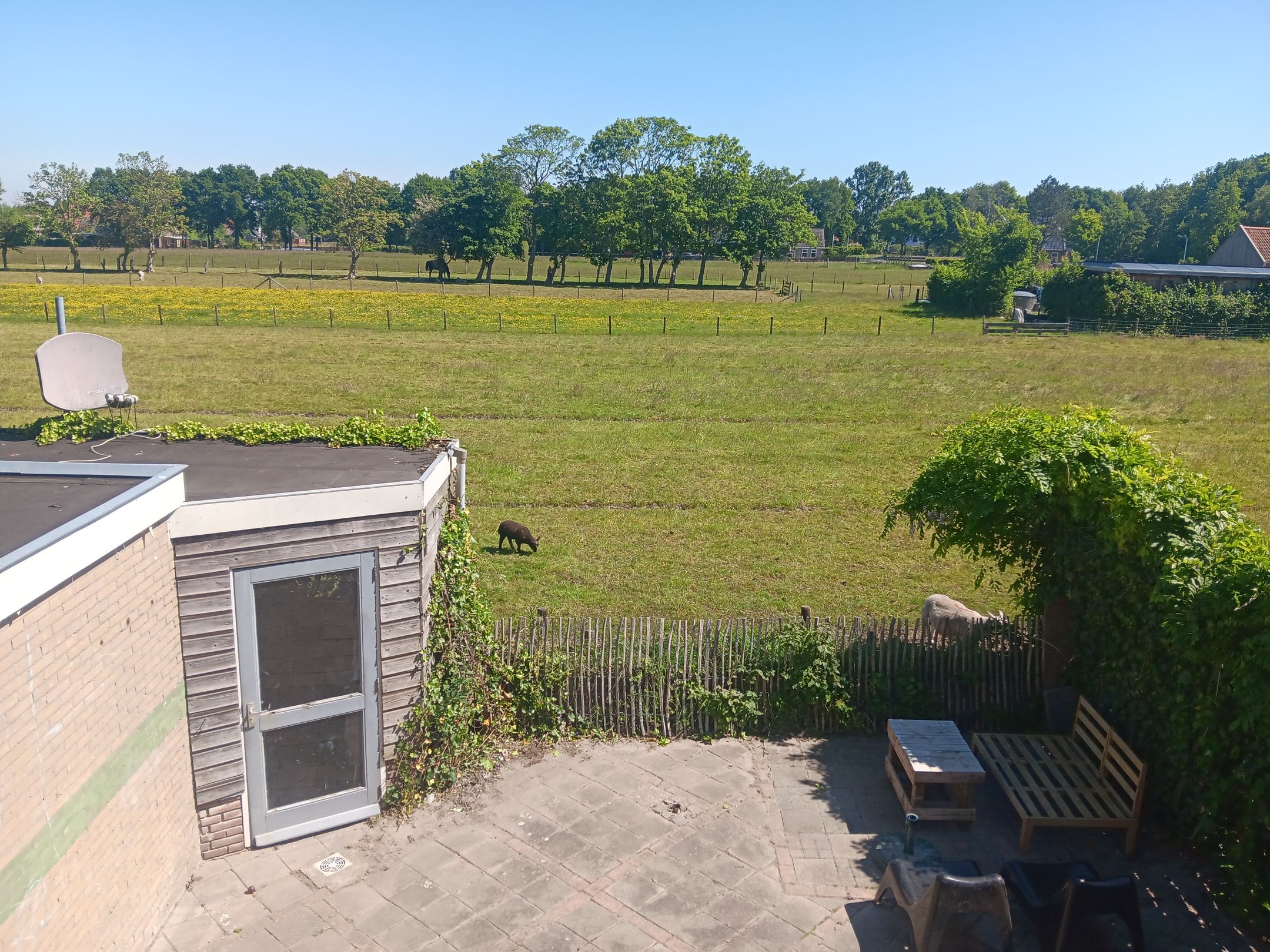 Foto 3 van Feie van Inthiemastraat 18