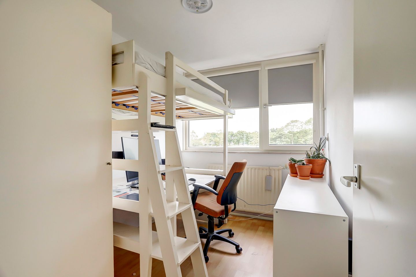 Foto 19 van Feie van Inthiemastraat 18