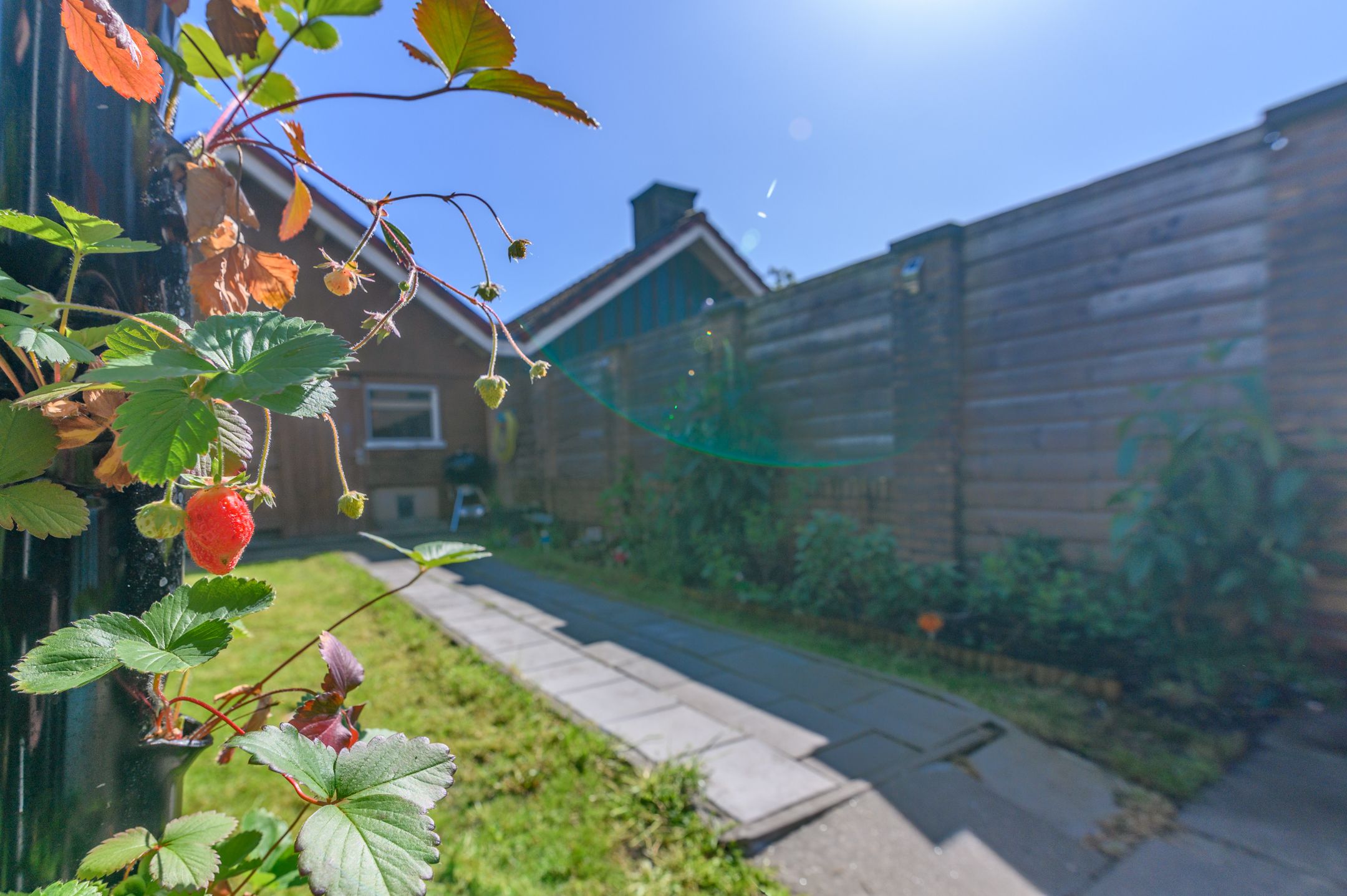 Foto 51 van Sieger van der Laanstraat 105