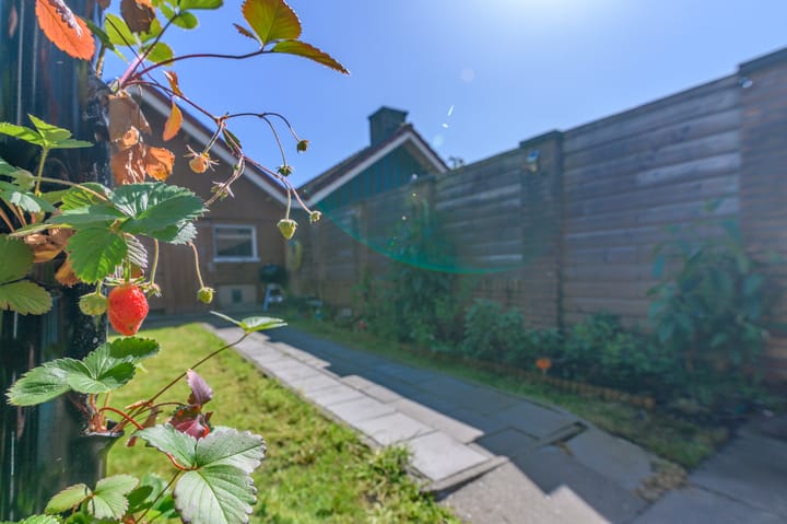 Foto 51 van Sieger van der Laanstraat 105