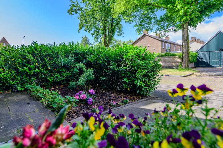 Foto 53 van Sieger van der Laanstraat 105