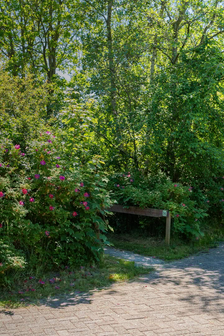 Photo 5 of Rijspolder 54