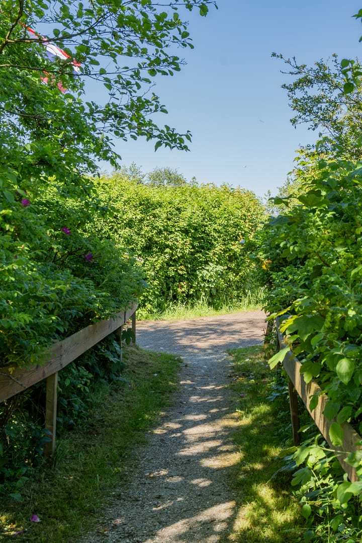 Photo 30 of Rijspolder 54